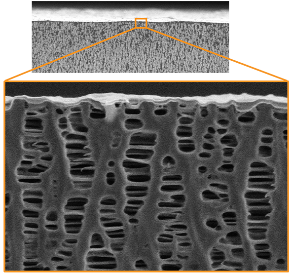 Battery separator foil ion milled at room temperature.