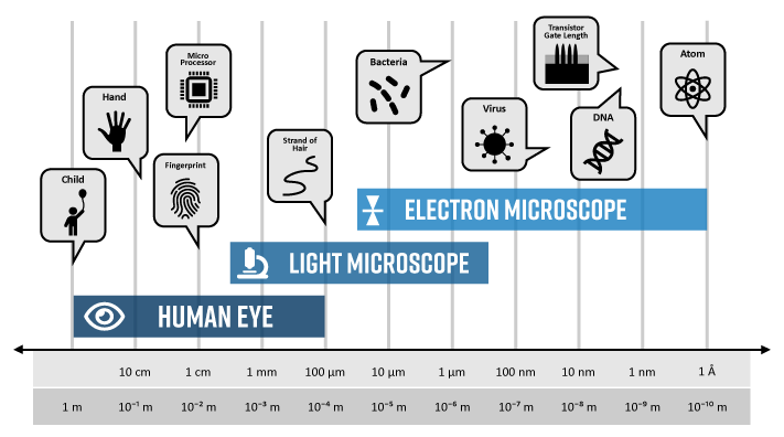 Comparing length scales accessible by different types of microscopes.