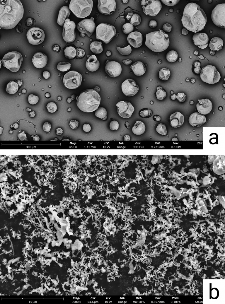 Preparing Powders for Scanning Electron Microscopy | Nanoscience ...