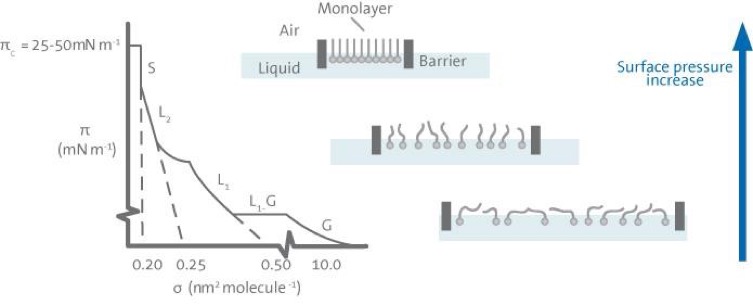 Physico-chimie et dynamique des surfaces - Interfaces et films organiques -  Films de Langmuir formés par des molécules semi-fluorées - INSP