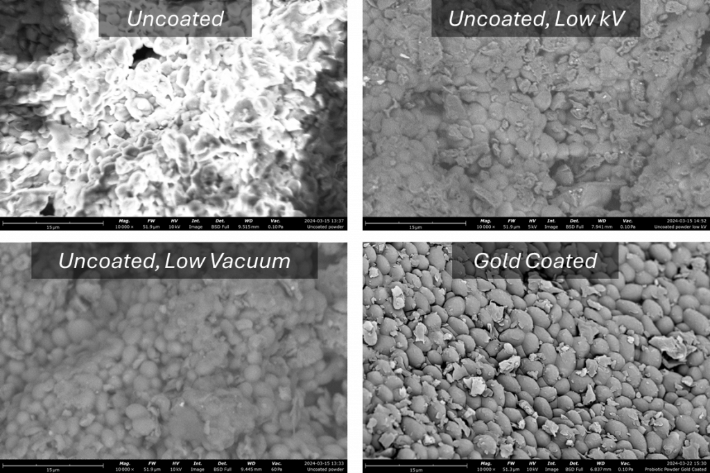 Comparing SEM images of probiotic powder: Conventional imaging parameters cause image distortions and charging (A) whereas lowering the vacuum (B) and lowering the accelerating voltage (B) reduce sample charging but also lead to less contrast and signal-to-noise. Coating the sample with a thin layer of gold allows the beam parameters to be optimized while avoiding charging artifacts (D)