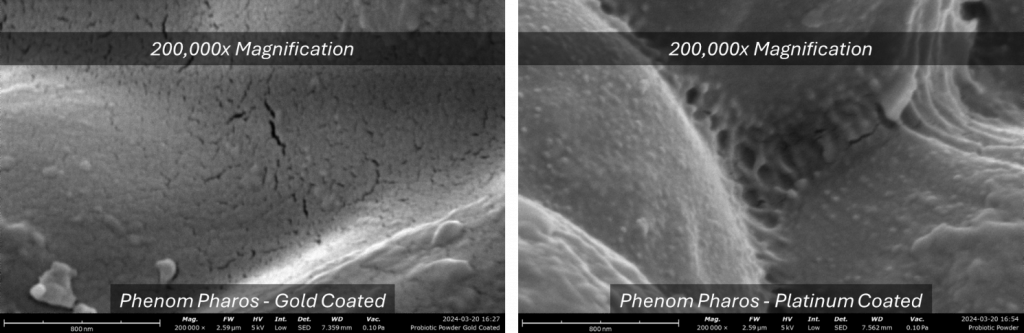 Gold-coated powder (left) and platinum-coated powder (right) were imaged at high magnification on the Phenom Pharos 
