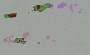 Automated SEM/EDS for Monitoring Steel Inclusions | ASTM