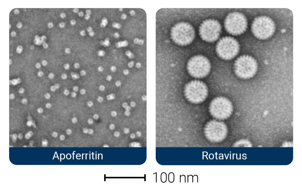 Phenom Pharos Desktop STEM | Nanoscience Instruments