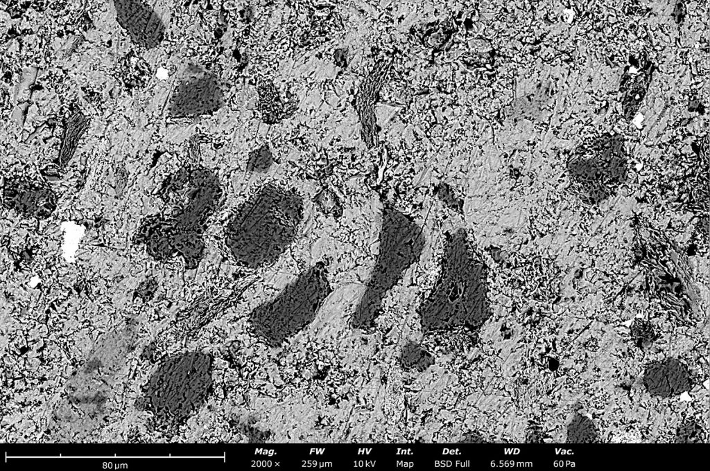Desktop Scanning Electron Microscopy in Geology | Nanoscience Instruments