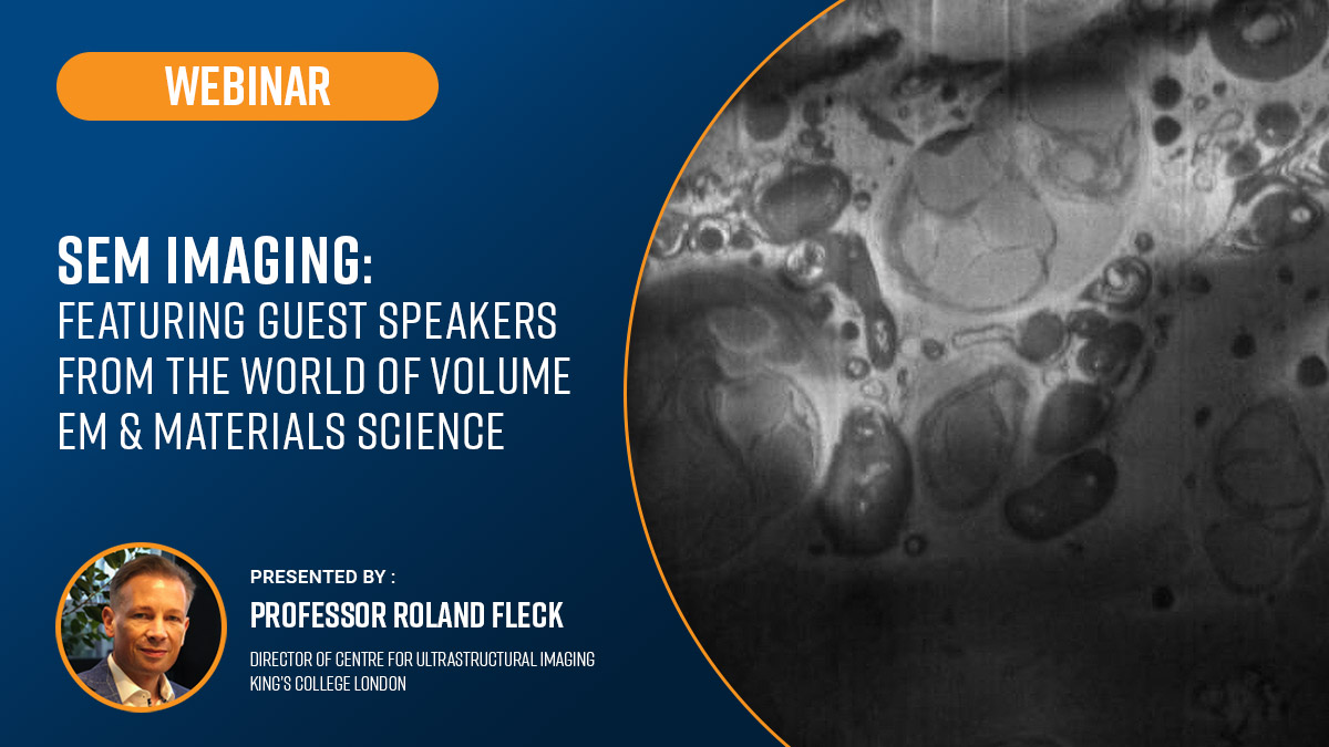 SEM Imaging: Featuring Guest Speakers from the World of Volume EM ...